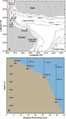 Monsoon-driven seasonal hypoxia along the northern coast of Oman